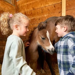 Meet your Posher, Suzanne